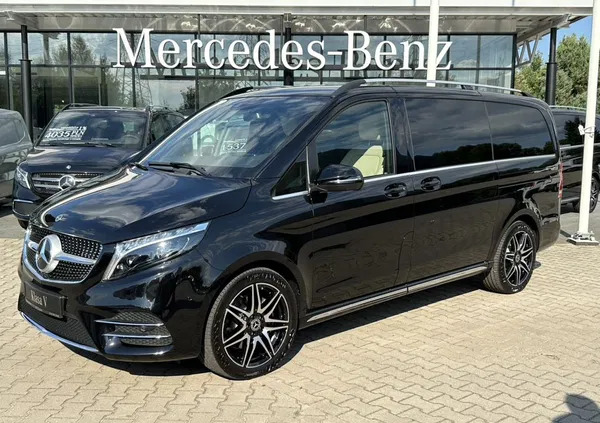 opole lubelskie Mercedes-Benz Klasa V cena 399955 przebieg: 5000, rok produkcji 2023 z Opole Lubelskie